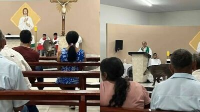 Imagem da notícia Visita inusitado no altar da igreja: Anta interrompe missa e surpreende fiéis em Sonora